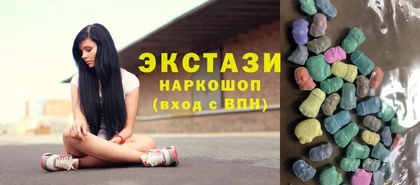 индика Дмитровск