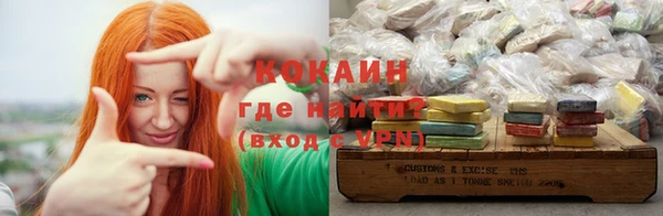 индика Дмитровск