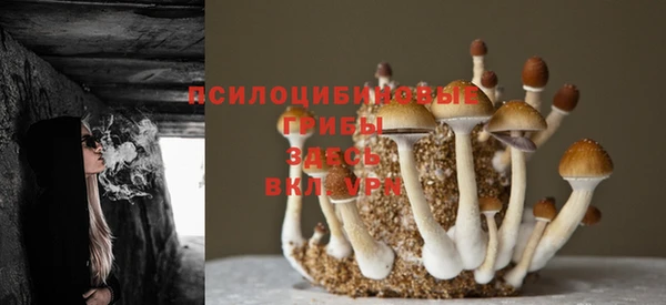 МДПВ Дмитриев