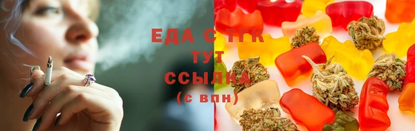индика Дмитровск