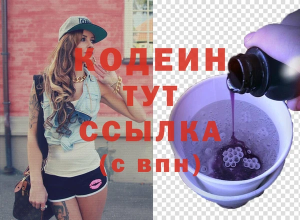 индика Дмитровск