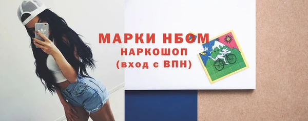 индика Дмитровск