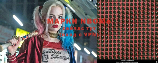 МДПВ Дмитриев