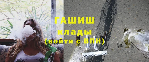 индика Дмитровск