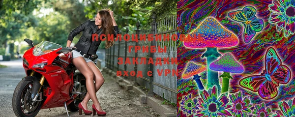 МДПВ Дмитриев