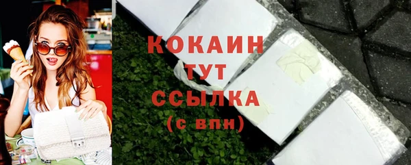 индика Дмитровск