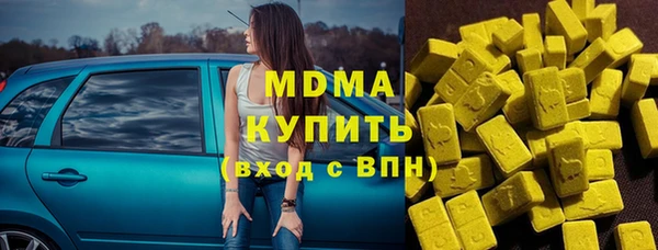 индика Дмитровск