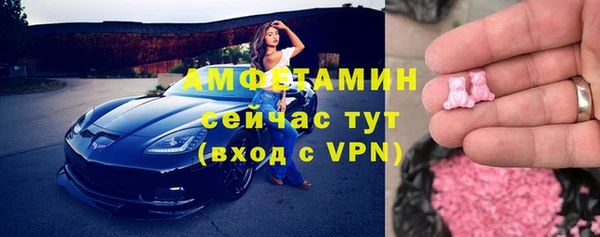 индика Дмитровск