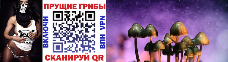Купить  Шумерля  Галлюциногенные грибы мицелий 